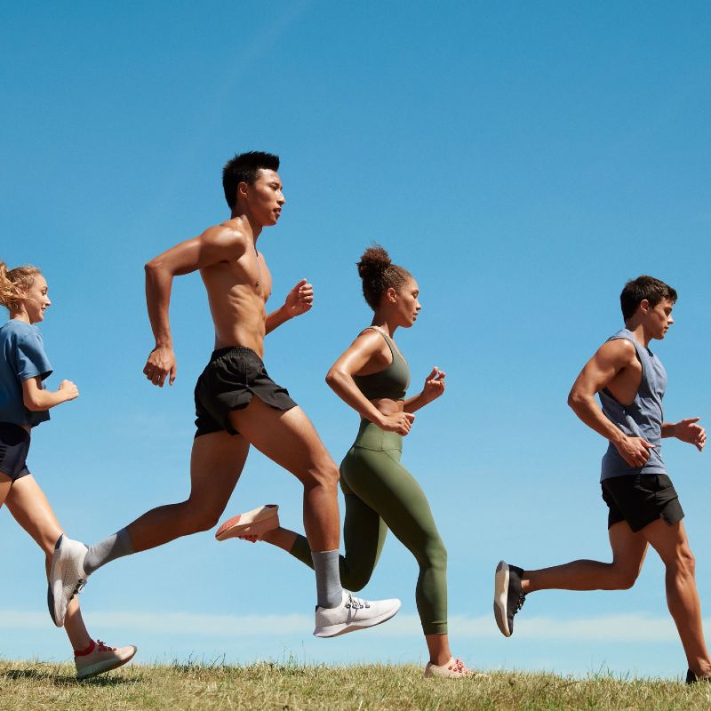 Allbirds Tree dashers Sustainable Living