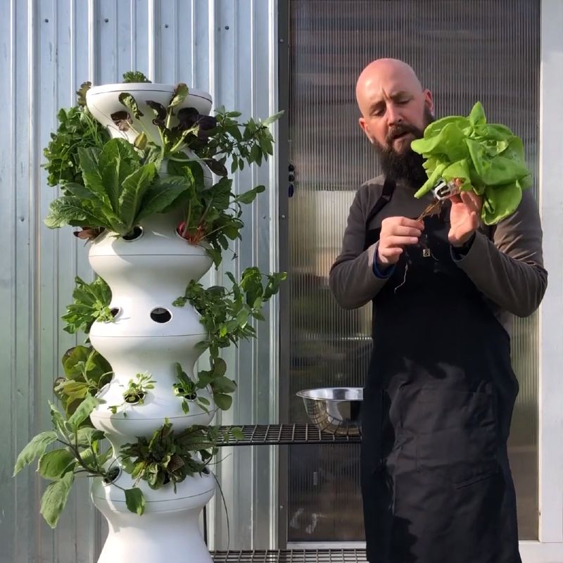 LettuceGrow Farmstand vegetable fruit tower