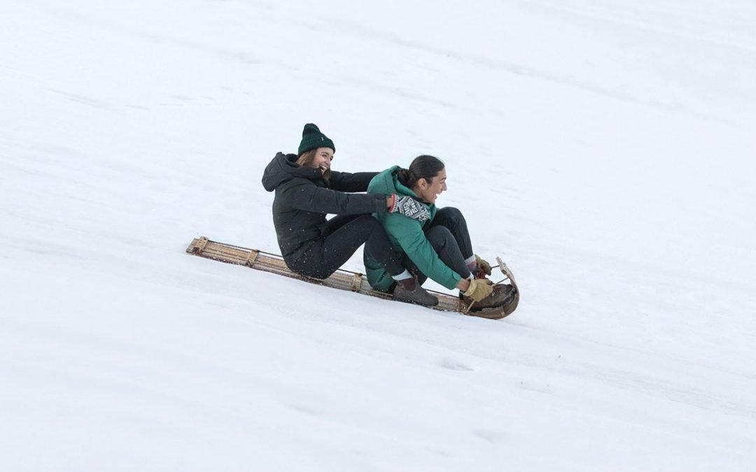 25 Sustainable Gifts For Design Fans And Environmentalists