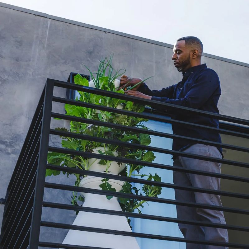 The Farmstand Lettuce Grow Hydroponic Recycled Ocean Plastic